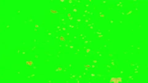 Beautiful maple leaf animation on a green screen video, with a strong wind. Stock Footage 310419773