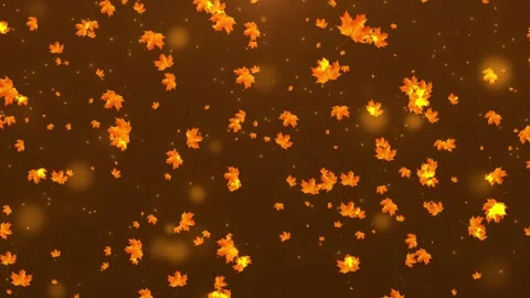 Beautiful maple leaves falling on the stage backdrop Stock Footage 324442552