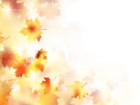 Beautiful maple leaves forest. plus EPS10 Stock Illustration