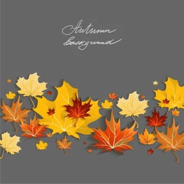 Beautiful maple leaves Stock Illustration