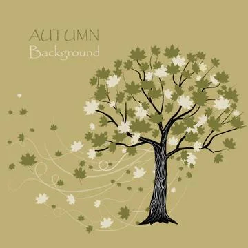 Beautiful maple tree Illustrazione stock