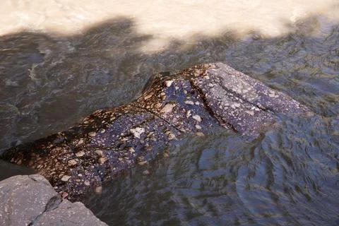 A beautiful marble boulder in a muddy river. Stock Photos