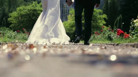 A beautiful married couple walking down the park and holding their hands Stock Footage 67358045