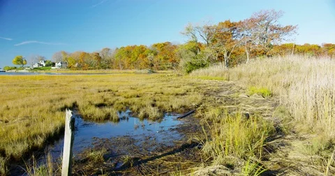 Beautiful marsh and swamp in a small coastal New England Town. Stock Footage 72993485