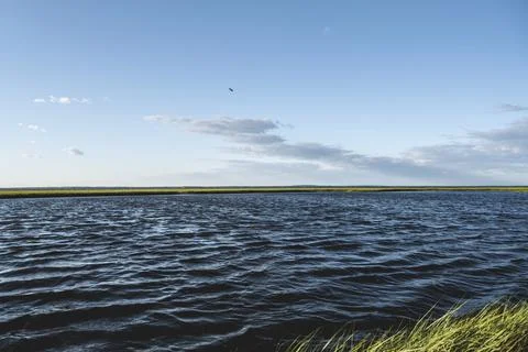 Beautiful Marsh Grass Growing on a Fire Island New York, Spectacular Ocean View Stock Photos