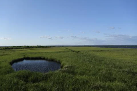 Beautiful Marsh Grass Growing on a Fire Island New York, Spectacular Ocean View Stock Photos