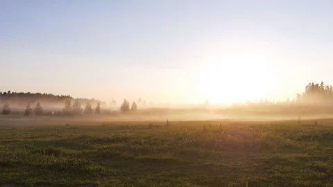 Beautiful meadow in the fog 動画素材 129117331