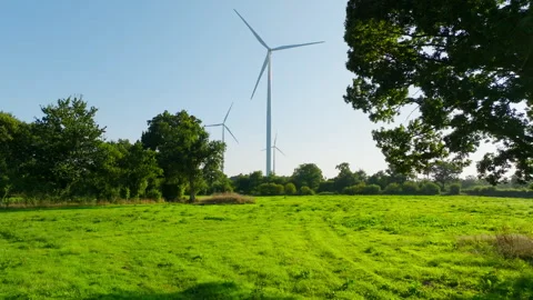 Beautiful Meadow Landscape Featuring Wind Energy Turbines 動画素材 316234814