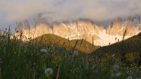 Beautiful meadow with mountain range during sunset in Italian Alps, Dolomites. Stock Footage 156941787