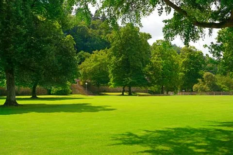 Beautiful meadow 写真素材