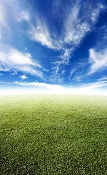 Beautiful meadow Stock Photos