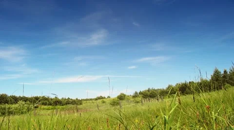 Beautiful meadow time lapse. Summer in full HD Stock Footage 53497481