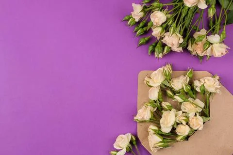 Beautiful mini roses in envelope with notepad on a bright lilac background. h Stock Photos
