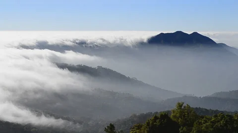 Beautiful mist flowing on valley at doi inthanon national park of thailand Video stock 35884099