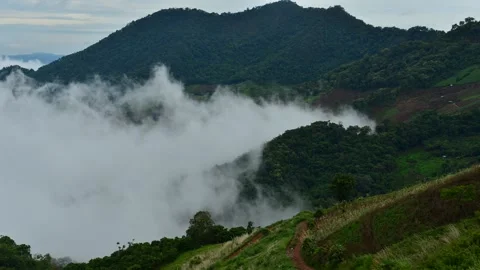 Beautiful mist foggy Stock Footage 201280946