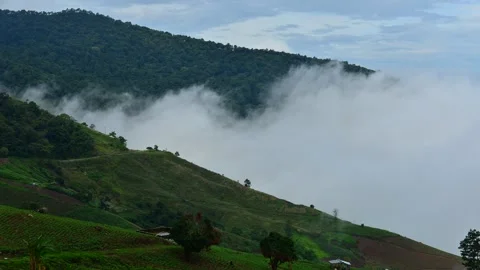 Beautiful mist foggy Stock Footage 201280959