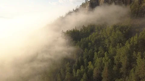 Beautiful misty clouds in mountain forest aerial Video stock 93729232