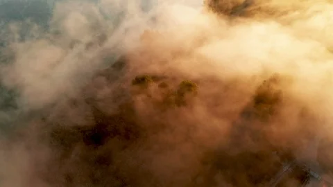 Beautiful misty dawn in the spring on the river. Stock-Footage 116599795
