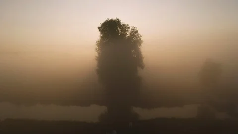 Beautiful misty dawn in the spring on the river. Stock Footage 121066977