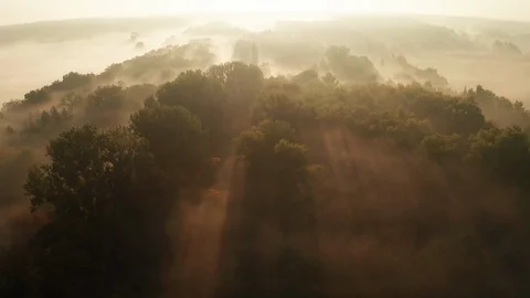 Beautiful misty dawn in the spring on the river. Vídeos de archivo 121072245