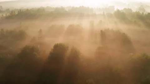 Beautiful misty dawn in the spring on the river. Video stock 121080910
