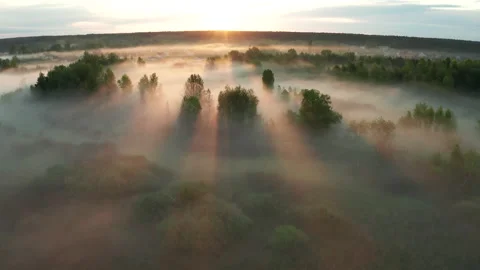 Beautiful misty dawn in the spring on the river. Stock Footage 158236899