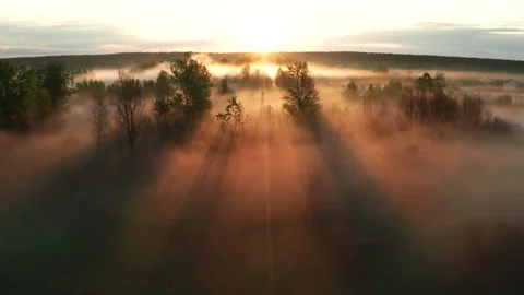 Beautiful misty dawn in the spring on the river. Stock Footage 158237153