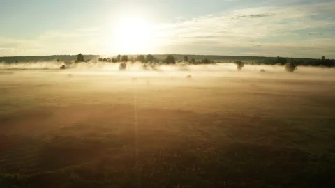 Beautiful misty dawn in the spring on the river. Stock Footage 158237555