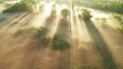 Beautiful misty dawn in the spring on the river. Stock Footage 158237869
