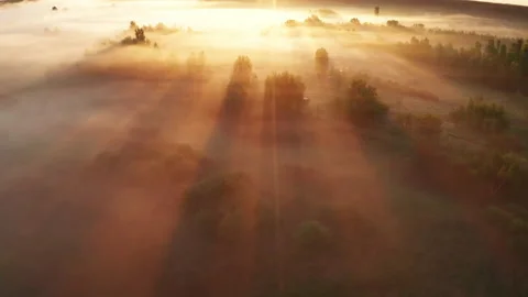 Beautiful misty dawn in the spring on the river. Stock Footage 158241475
