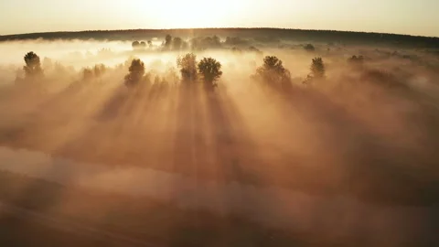 Beautiful misty dawn in the spring on the river. Stock Footage 158242741