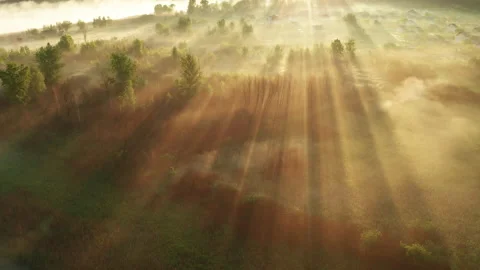 Beautiful misty dawn in the spring on the river. Stock Footage 158243205