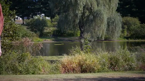 Beautiful model strolls and sits by lake Stock Footage 40294959