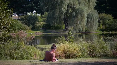 Beautiful model using a smart phone by a lake Stock-Footage 40294592