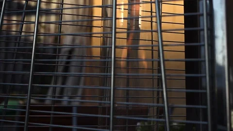 A beautiful modern heating device with open fire Stock-Footage 129707745