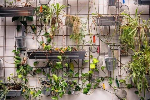Beautiful modern texture on the theme of kitchen, cooking, cafe or restaura.. Stock Photos