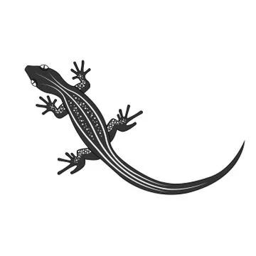 Beautiful  monochrome lizard, lizard silhouette. Stock Illustration
