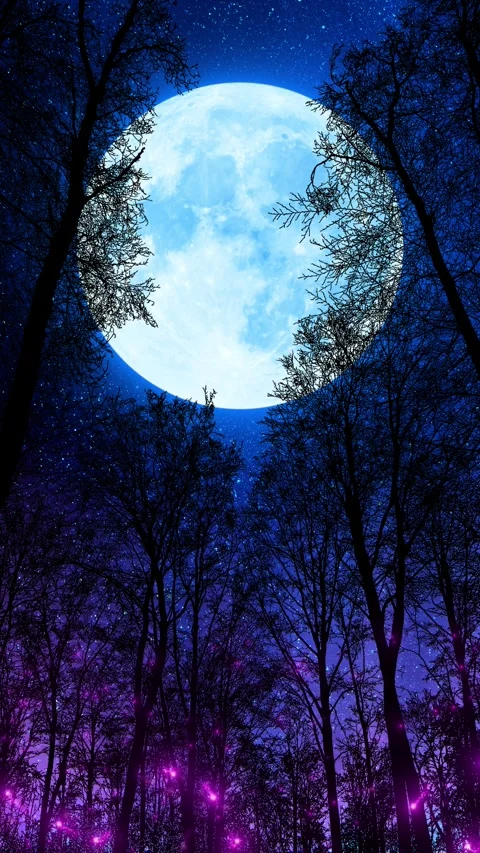 Beautiful Moon Through Forest Stock Footage 305785660