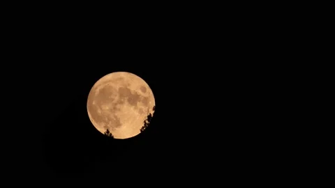 Beautiful Moonlight in this Full Moon Time-lapse. Stock Footage 143797365