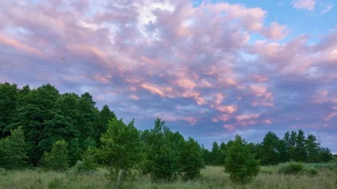Beautiful morning clouds illuminated sun. Picturesque summer nature at edge o Stock Footage 212958347