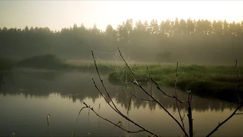 Beautiful morning Stock Footage 77951214