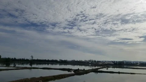 A beautiful morning Vidéo 213864930