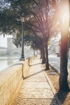 Beautiful morning light. Stock Photos