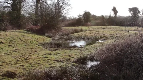 Beautiful Morning Light Reflects off Rare Protected Marshland Fields &amp; Farm Land Video stock 48987853