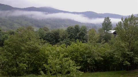 Beautiful morning view Stock Footage 76100572