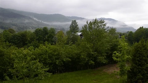 Beautiful morning view Stock Footage 76242199