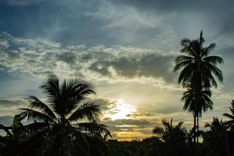 Beautiful mornings with light clouds and coconut trees. Stock Photos