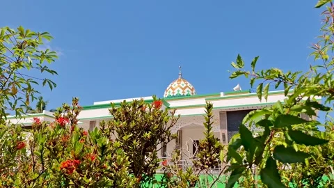 Beautiful Mosque Dome with Colorful Pattern and Green Plants Under Blue Sky Stock Footage 340187119