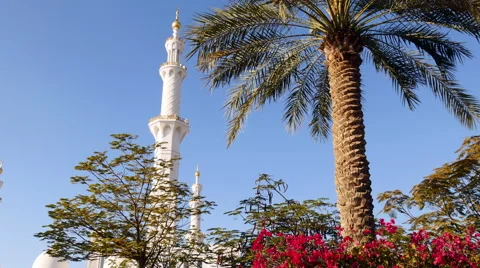 Beautiful mosque surrounded by palm trees and flowers in blue sky. Stock Footage 61502232