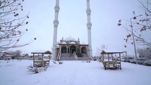 A beautiful mosque in the winter Stock Footage 241705736